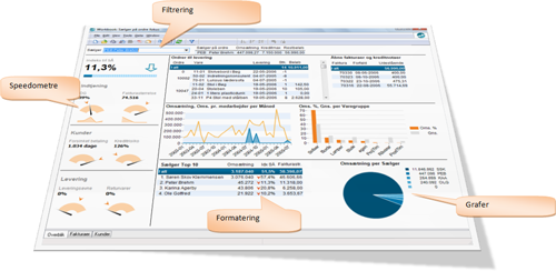 Business Intelligence Funktioner